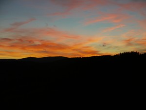P1000025a