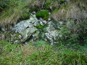 P1000049a