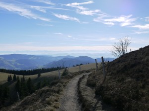 P1000062a